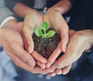 Sustainability