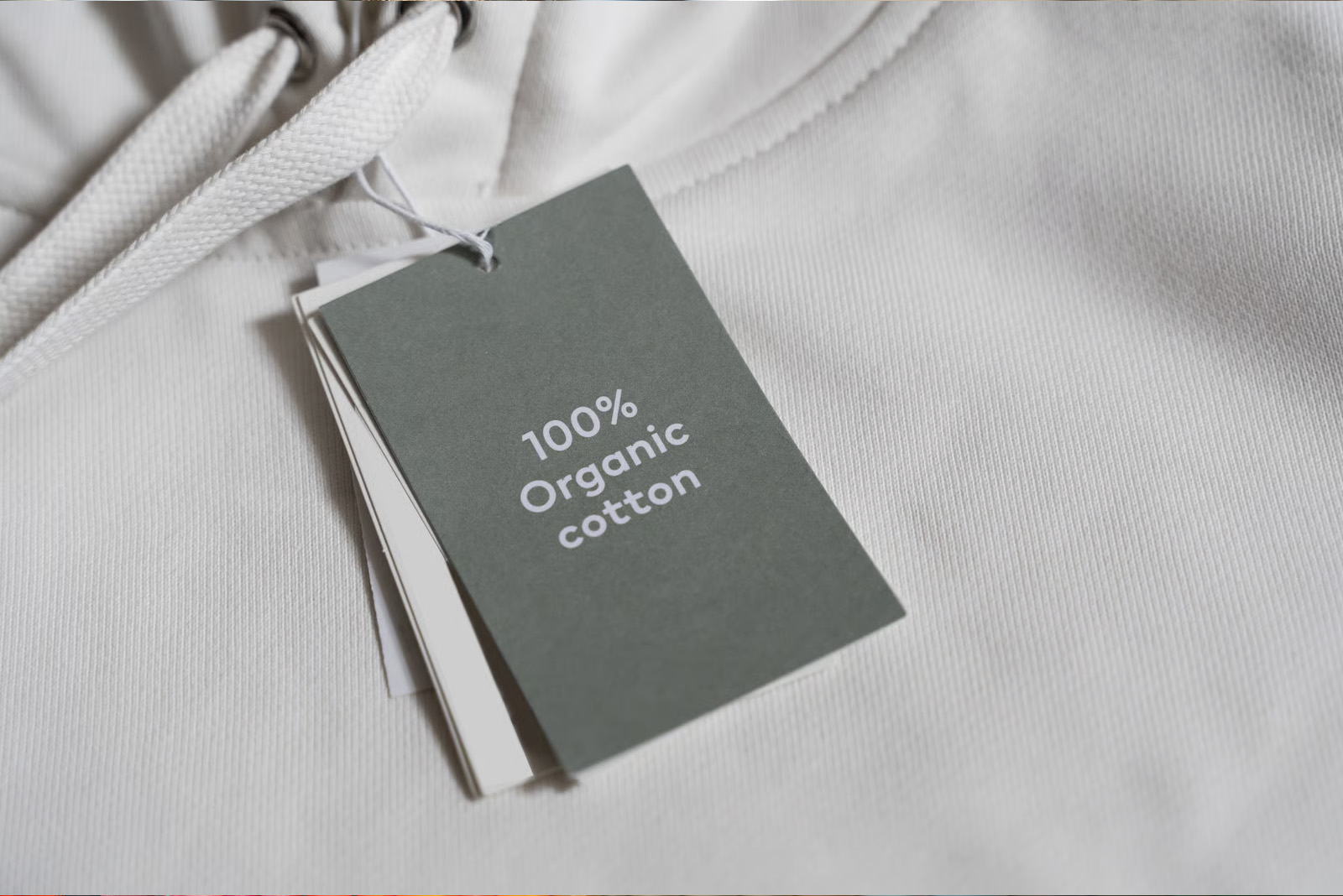 Yumuşak ışık altında etiketli organik pamuklu kapüşonlu sweatshirt